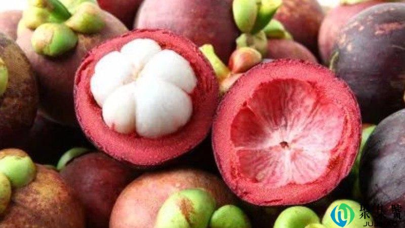 沙竹和山竹的区别