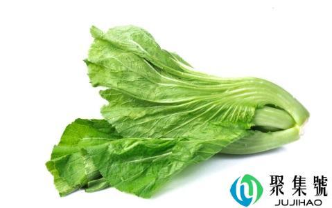 盖菜和芥菜的区别