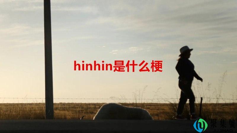 hinhin是什么梗