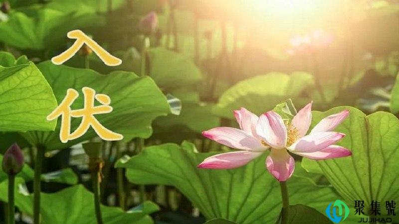 入伏是什么意思啊