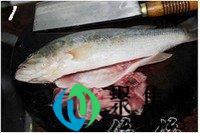 如何做清蒸鲈鱼