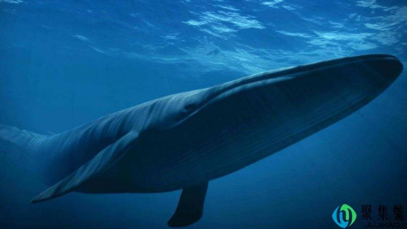 五十二赫兹什么意思