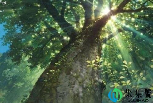 柠檬树下是什么意思