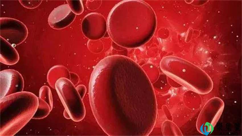 血液在成人体重中占比