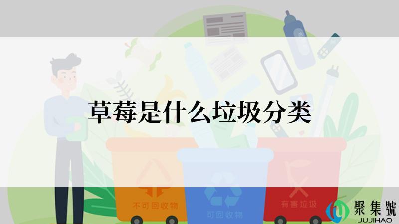 草莓是什么垃圾分类