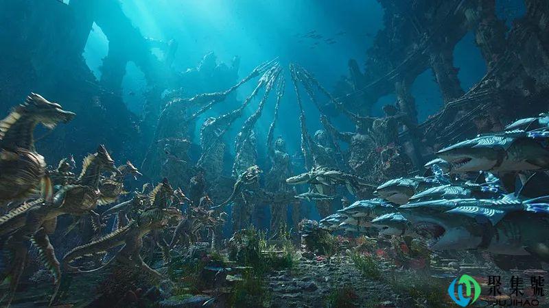 海王养鱼什么意思