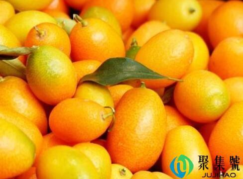 金桔要连着皮一起吃吗