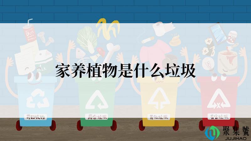 家养植物是什么垃圾