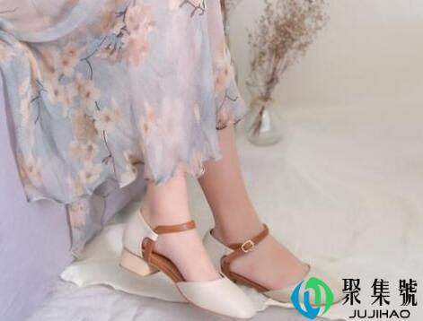 champion earth是什么牌子