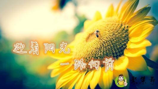 tuesday是什么意思