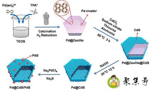 sm中cds和cdm什么意思