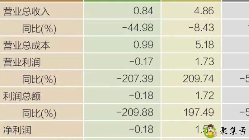 扣净利润为负说明什么