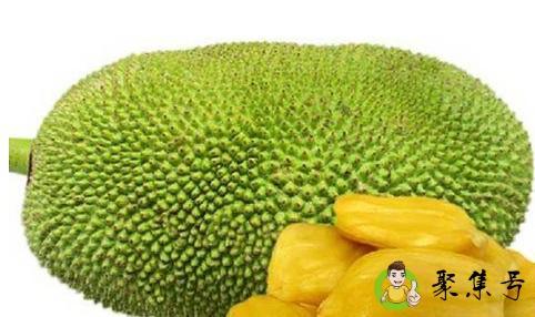 菠萝蜜为什么涂石灰