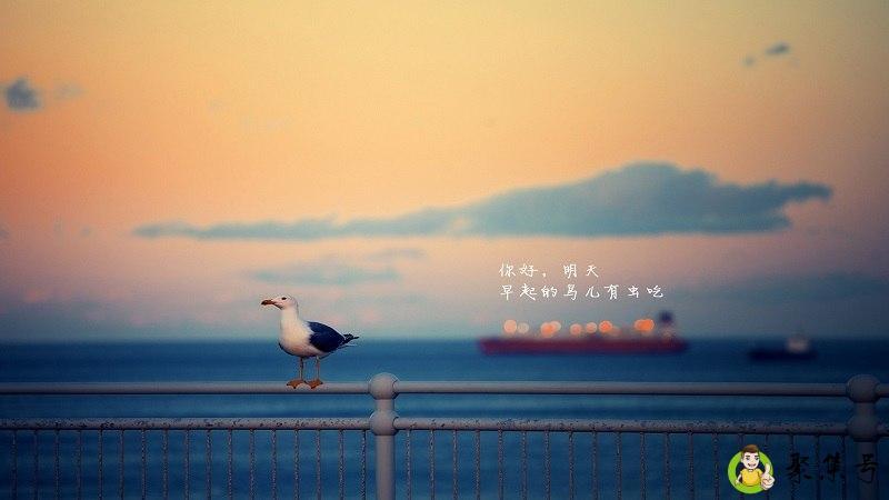 水曜日是什么意思