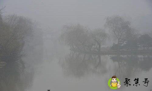 法眼岂容博大雾是什么意思