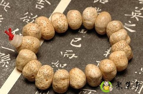 菩提子的种类