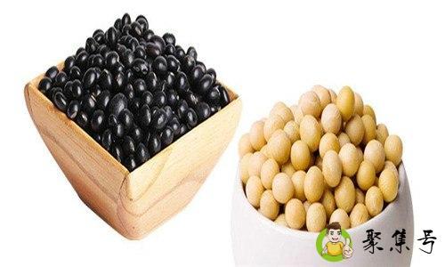 黑豆和黄豆的区别功效