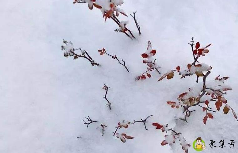 山河已冬花开向暖是什么意思