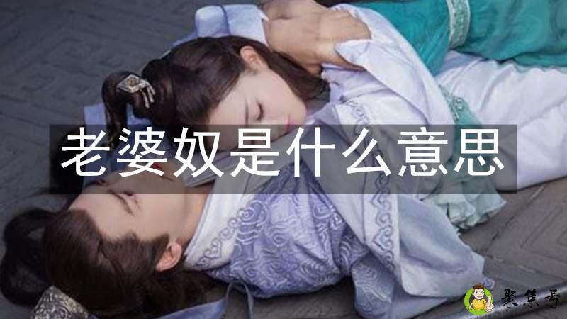 老婆奴是什么意思