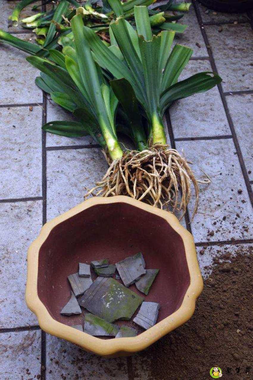 花盆底下的孔如何堵住