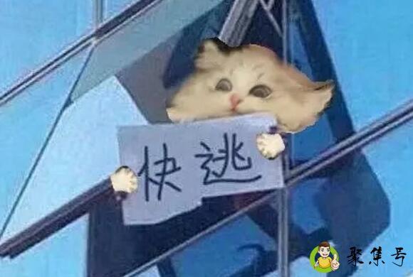 整破防了是什么意思