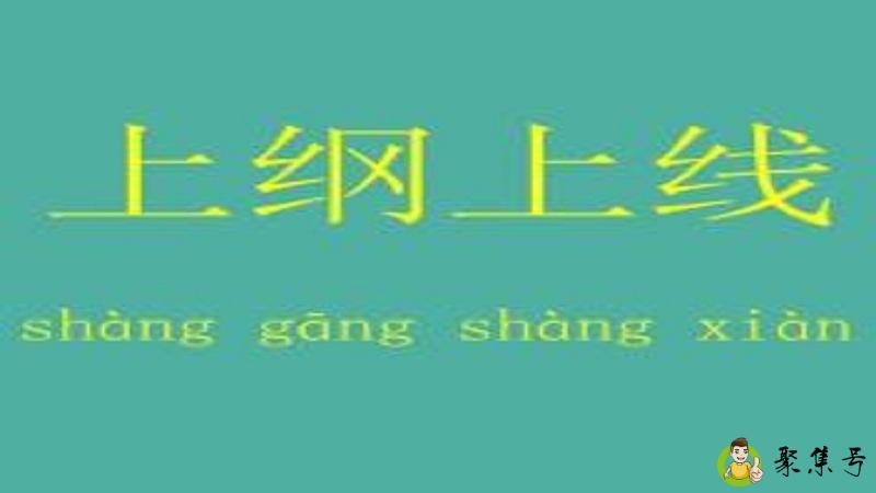 上纲上线什么意思