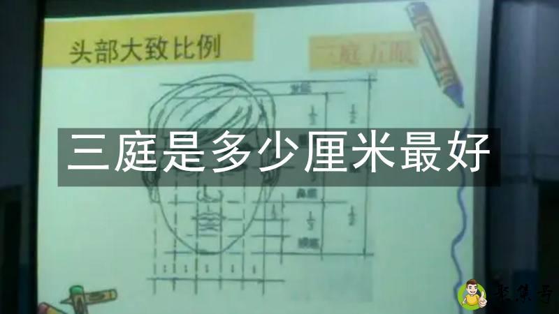 三庭是多少厘米最好