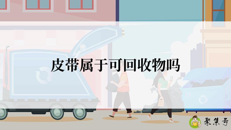皮带属于可回收物吗