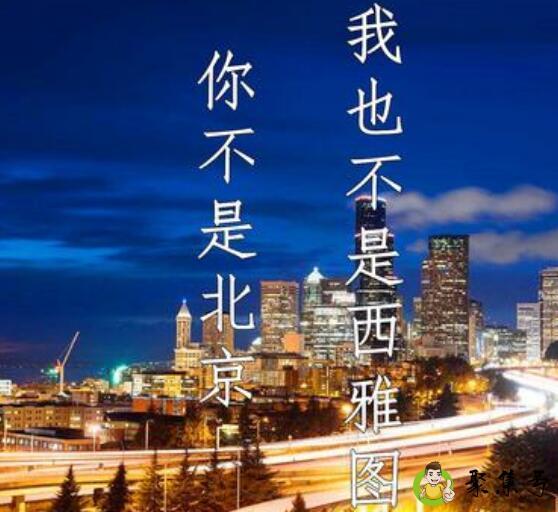 你不是北京我也不是西雅图什么意思
