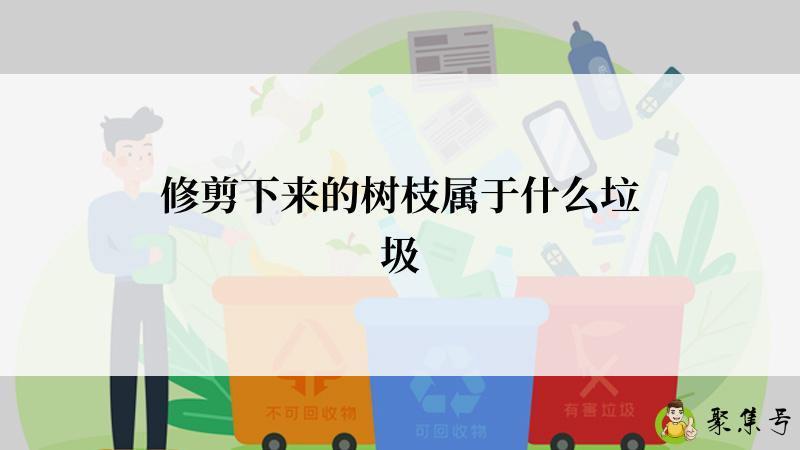 修剪下来的树枝属于什么垃圾