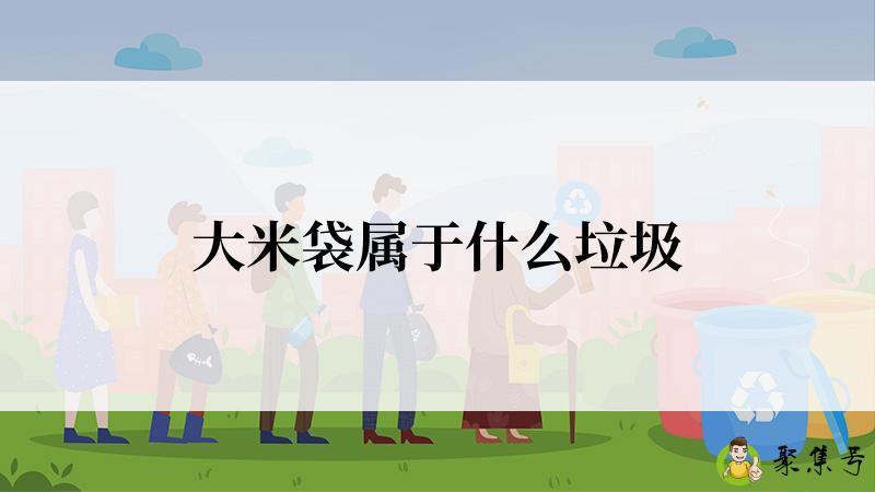 大米袋属于什么垃圾
