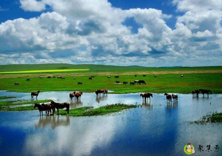 夏至要吃凉面吗
