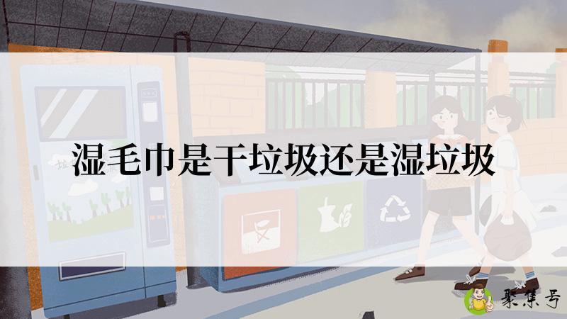 湿毛巾是干垃圾还是湿垃圾