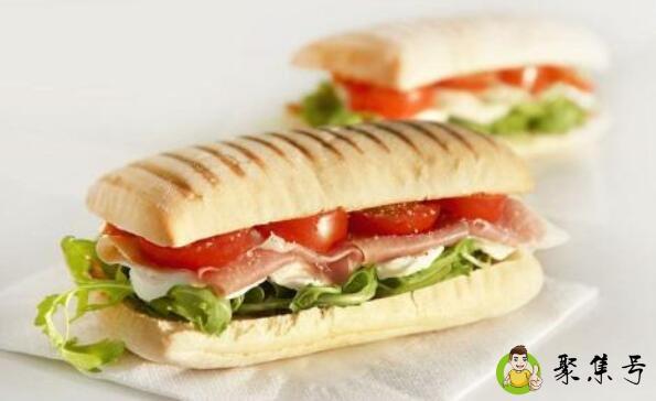 帕尼尼是什么意思