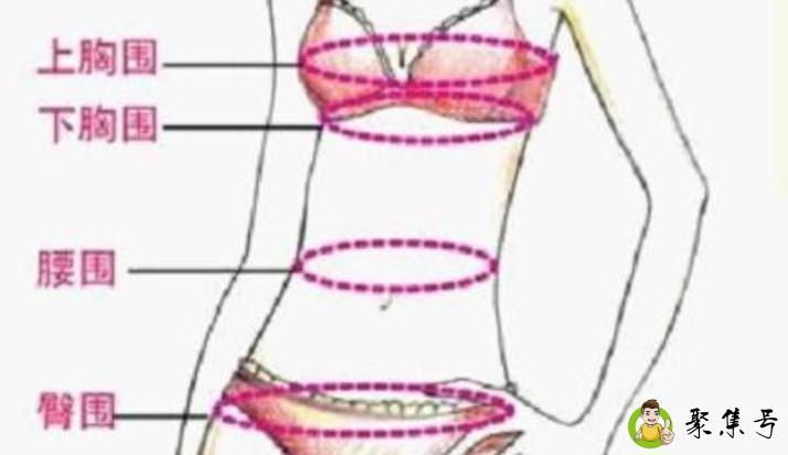 163女生标准三围