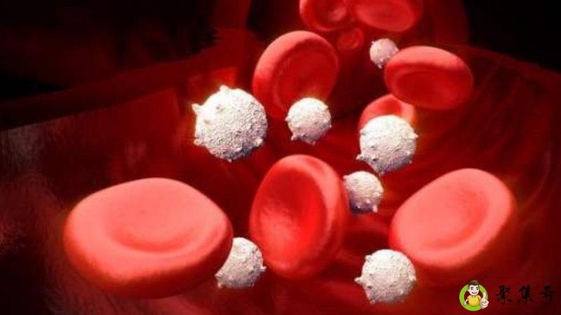 新陈代谢的意思