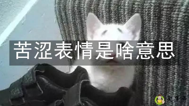 苦涩表情是啥意思