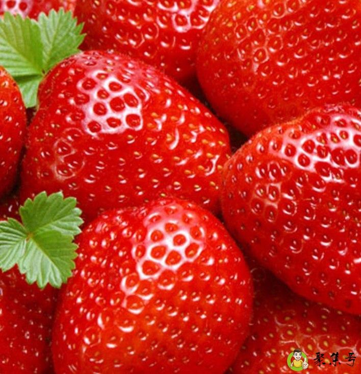 草莓的英文