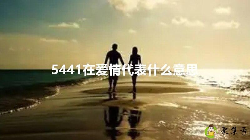 5441在爱情代表什么意思