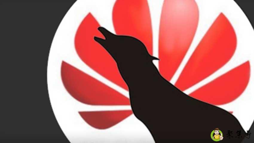 华为狼性文化的理解