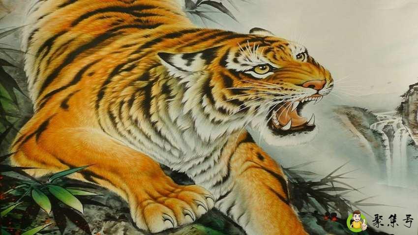 上山虎与下山虎寓意上的区别