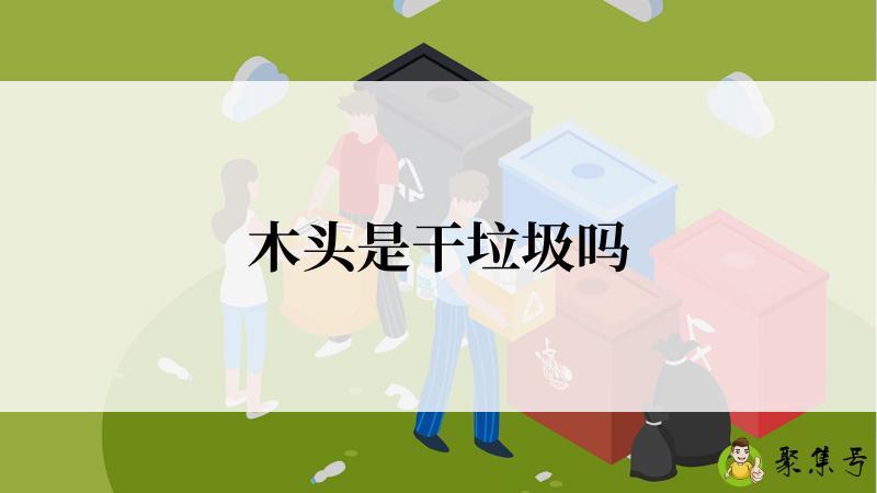 木头是干垃圾吗