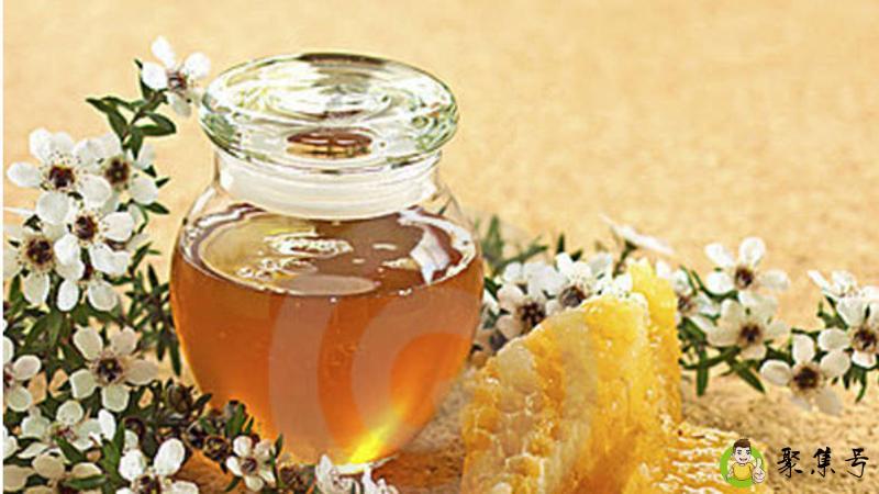 麦卢卡蜂蜜的正确吃法