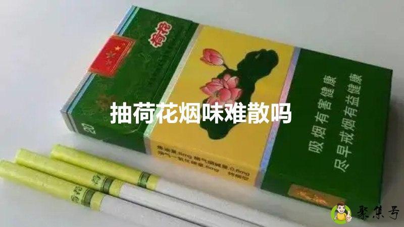 抽荷花烟味难散吗