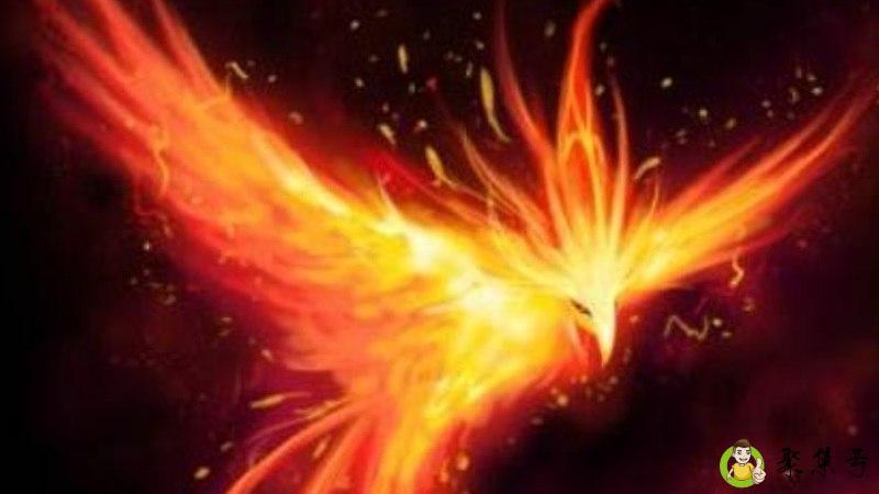 郝运到底是什么动物