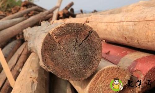 鲜木头煮多长时间防裂