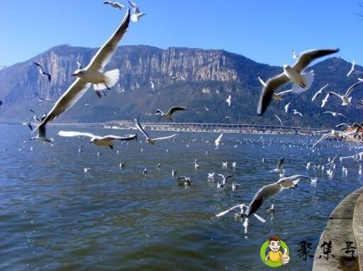 昆明适合去打工吗