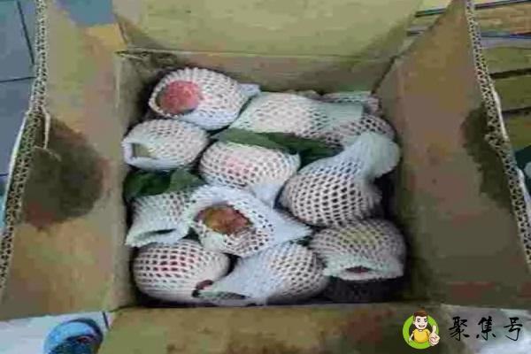 拼多多的水果可以买吗