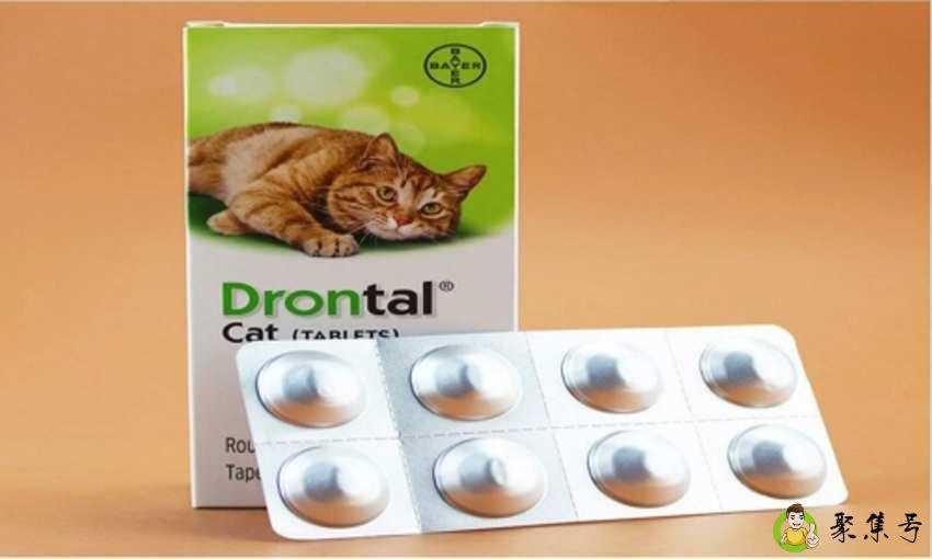 成人要吃驱虫药吗