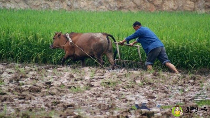 一年农事了,大家笑盈盈是什么意思
